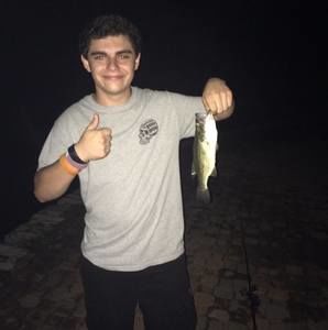 Meet your Posher, Matthew